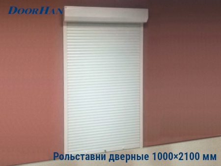 Рольставни на двери 1000×2100 мм в Ростове-на-Дону от 21804 руб.