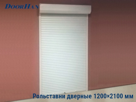 Рольставни на двери 1200×2100 мм в Ростове-на-Дону от 24018 руб.